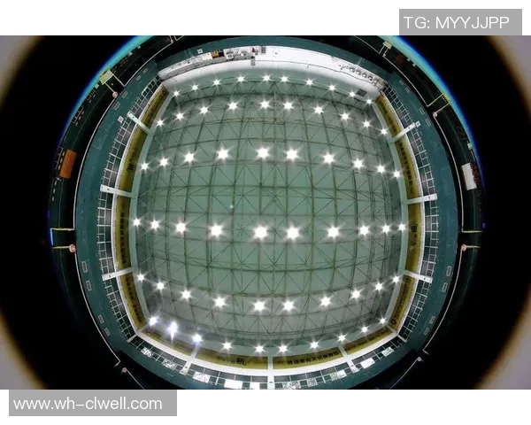 羽毛球热潮下北京羽毛球队如何借势反击欧冠足球的影响力 羽毛球热潮下北京羽毛球队如何借势反击欧冠足球的影响力