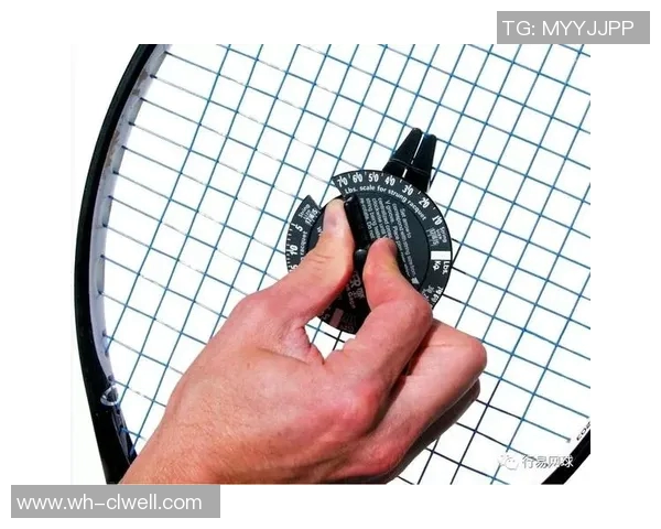 深度探讨陈丽的网球人生与成长历程中的挑战与成就