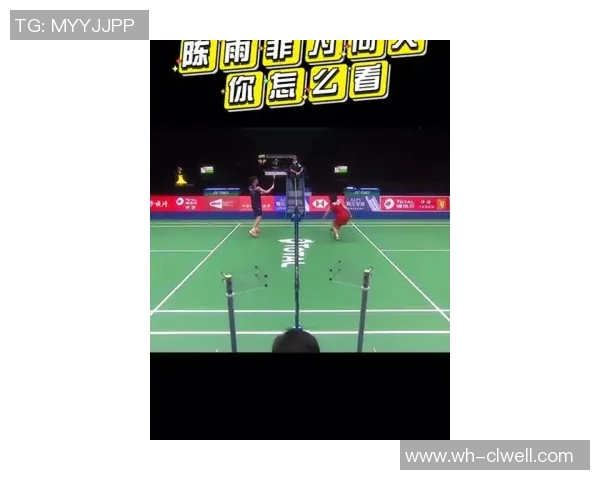 体育实时数据杭州羽毛球队边路渗透战术分析及其成败得失探讨 体育实时数据杭州羽毛球队边路渗透战术分析及其成败得失探讨