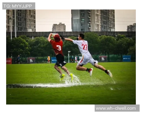 运动数据南京飞盘队的节奏与战术分析探索飞盘运动的魅力与团队协作 运动数据南京飞盘队的节奏与战术分析探索飞盘运动的魅力与团队协作
